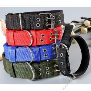 dogcollars-1-300x300