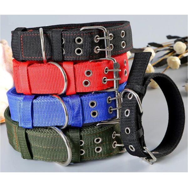 Dog Collars 5cm