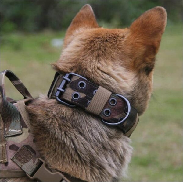 Tactical Dog Collar OTG4405