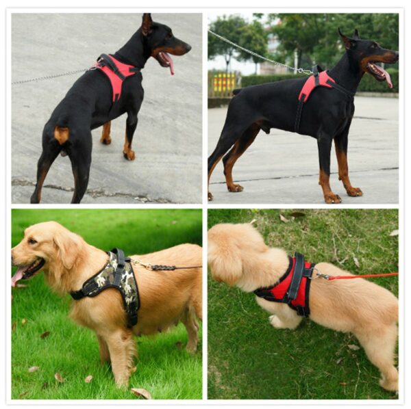 Saddle Dog Harness Small