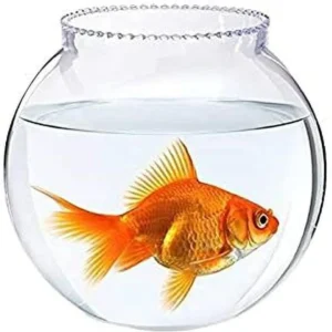 Chic Fish Bowl Yg-300 1pc