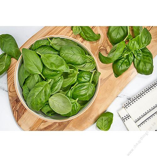 Herb Basil (10g)