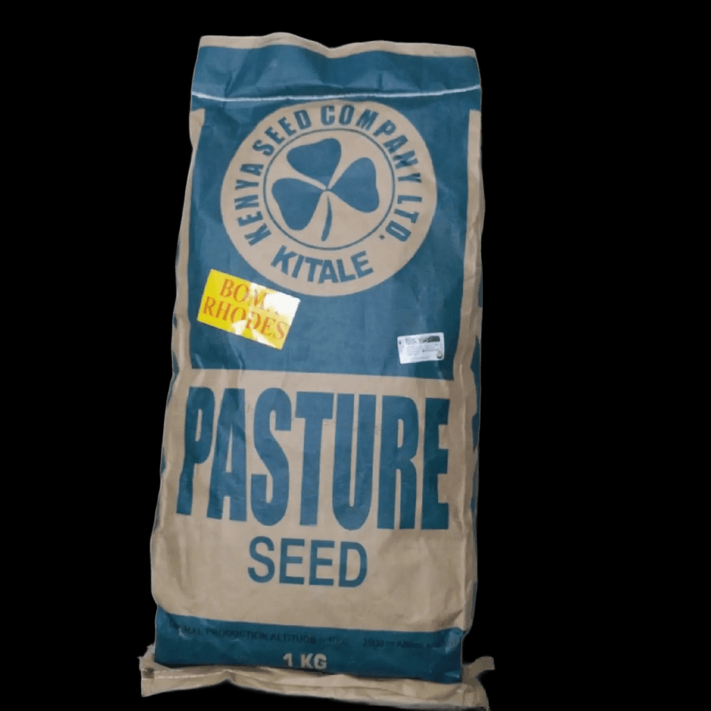 Boma Rhodes Pasture Seeds 1kg