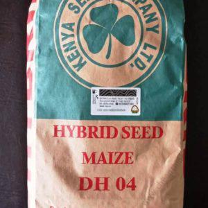 DH 04 Maize Hybrid Seed