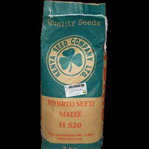 H 520 Maize Hybrid Seed