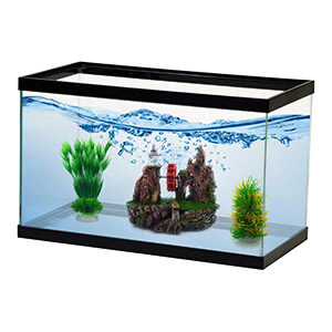 Jad ASD 5- 3 Aquarium 1pc