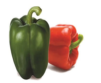 Capsicum Victory F1 (5g)