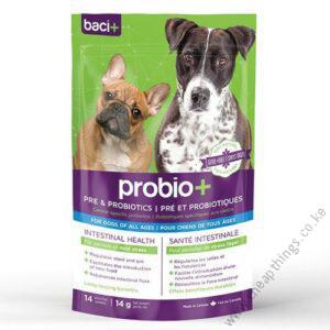 Probio Plus For Dogs 1pc