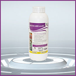 Benocarb 100SC (50ml)