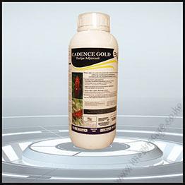 Cadence Gold (100ml)
