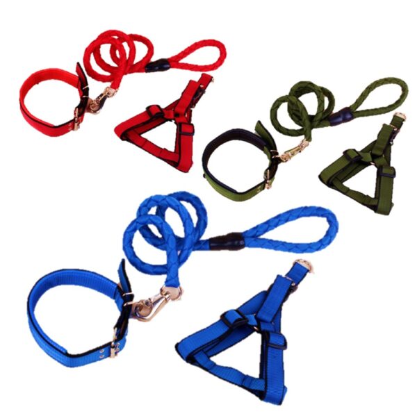 Collar Harness And Leash Set Small