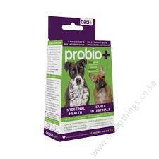 Probio Plus For Dogs 1pc - Image 2