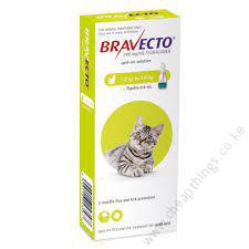 Bravecto Topical Solution For Cats – 1.2 TO 2.8KG, 1 Treatment