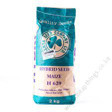 H 629 (2kg)