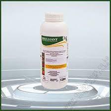 Brilliant (500ml)