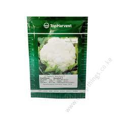 Early Snowball (50g)