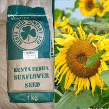 Kenya Fedha (1kg)