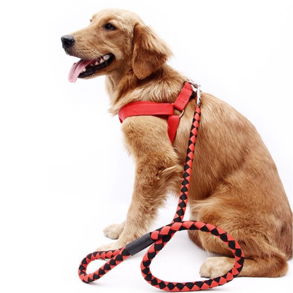 Rope Leash and Harness Set Medium