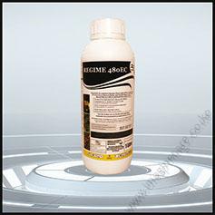 Regime 480EC (100ml)