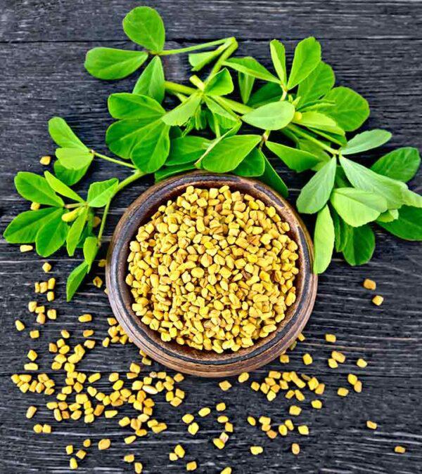 Fenugreek 1cup