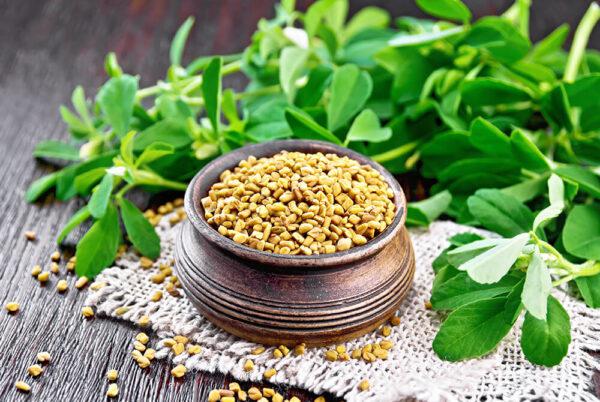 Fenugreek 1cup