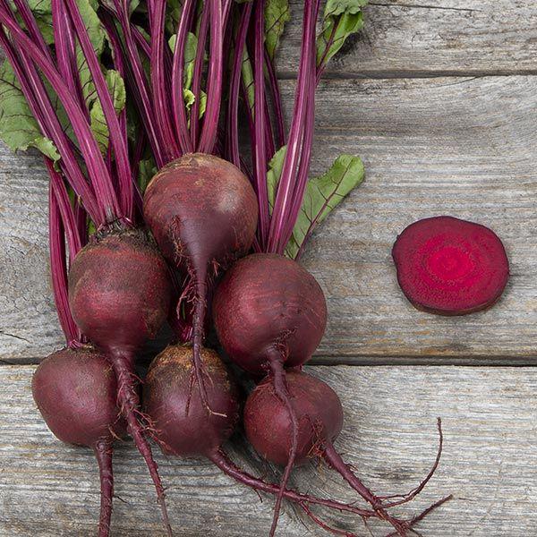 Red beet Detroit 100g - Image 4