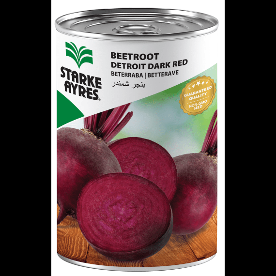 Red beet Detroit 100g - Image 3