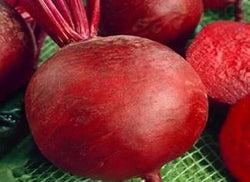 Red beet Detroit 250g