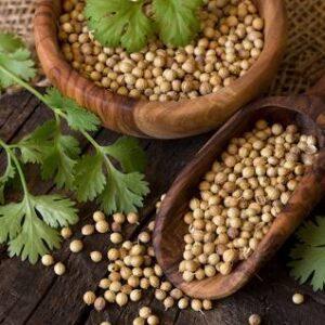 Coriander Dhania 100g