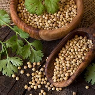 Coriander Dhania 100g