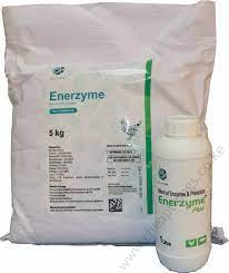 Enerzyme 25kg