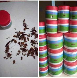 Buy Essie Mugo Cockroach Paste 200g - Cheapthings