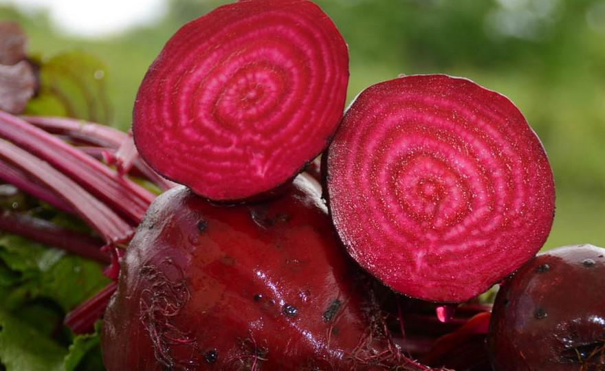 Red beet Detroit 500g - Image 2