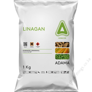 LINAGAN-ken--M_tcm141-75922