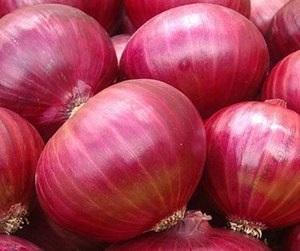 Onion Sivan F1 (25g)