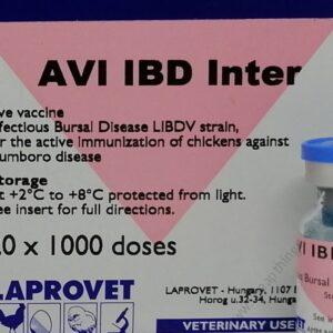 AVI IBD Inter 500doses