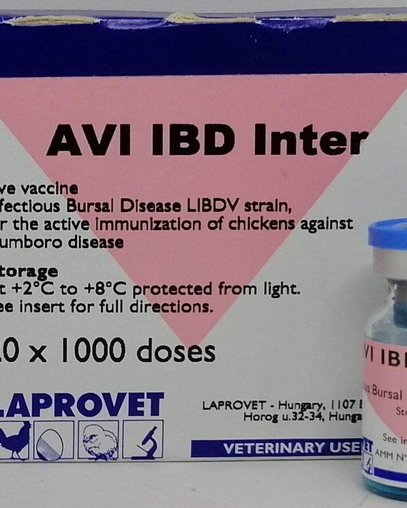 AVI IBD Inter 500doses