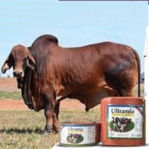 Ultramix General Block 5kg