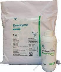 Enerzyme Plus 100ml - Image 2