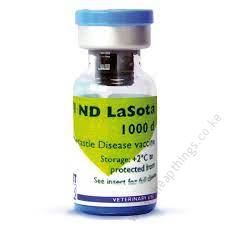 AVI ND LaSota 500doses