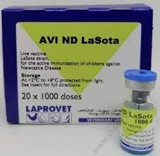 AVI ND LaSota 500doses