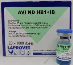 AVI ND HBI+IB 1pc