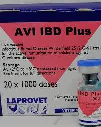 AVI IBD Plus 1000doses