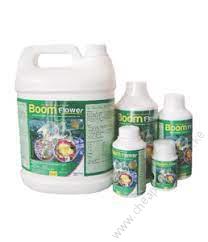 Boom Flower (1L)