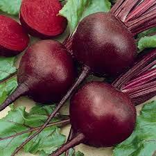 Red beet Detroit 100g