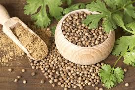Coriander Dhania 10g - Image 3