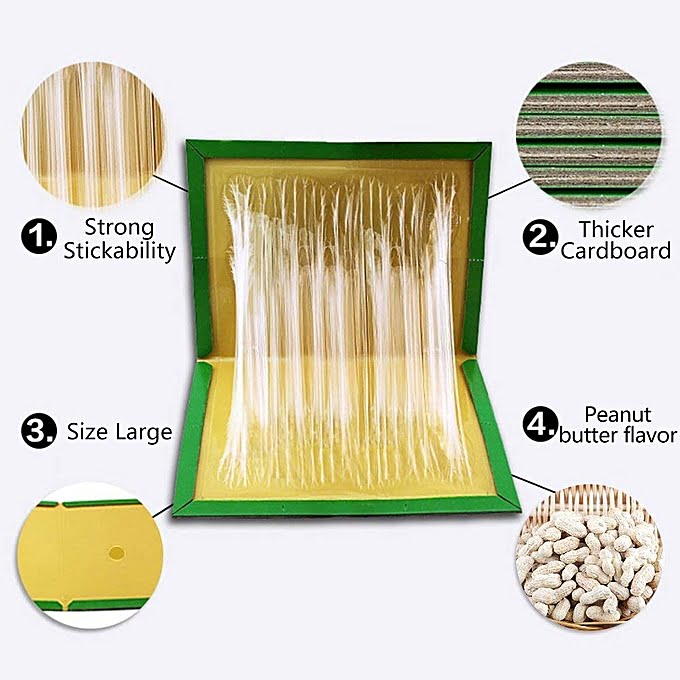 Rat & Mouse Glue Board 1pc