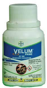 Velum Prime Sc500 (40ml)