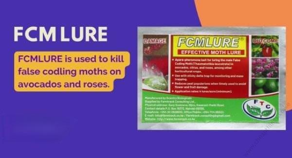FCM Lure (1pc)