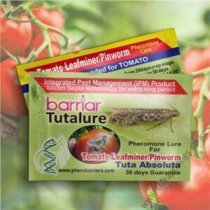 Tutalure (1pc)